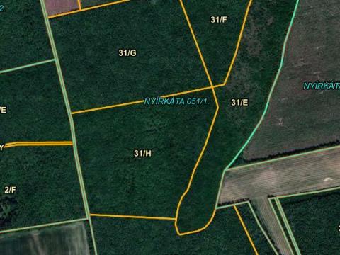 Nyírkátán 77 ha akácerdő tulajdonrész eladó Nyírkátán 77 ha akácerdő tulajdonrész eladó