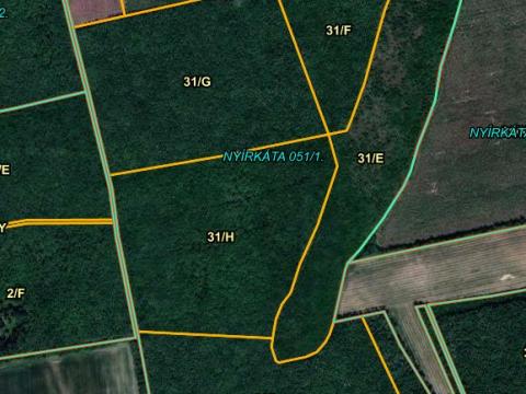 Nyírkátán 77ha Akácerdő tulajdonrész eladó Nyírkátán 77ha Akácerdő tulajdonrész eladó