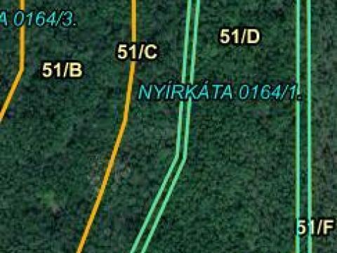 Nyírkátán 2 ha akácerdő tulajdonrész eladó Nyírkátán 2 ha akácerdő tulajdonrész eladó