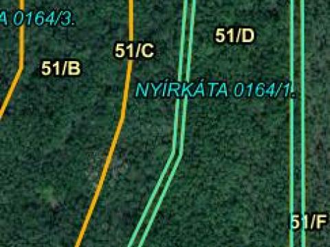 Nyírkátán 2ha Akácerdő tulajdonrész eladó Nyírkátán 2ha Akácerdő tulajdonrész eladó