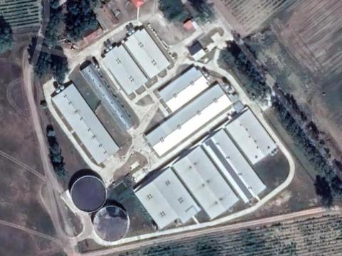 Sertéshizlalda vezető; Telepvezető Sertéshizlalda vezető; Telepvezető