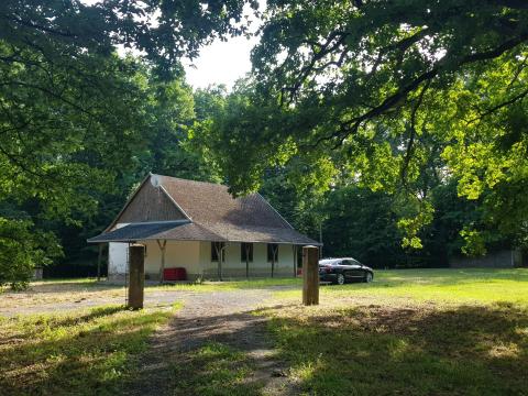 50-100 éves tölgyfás 80.000 m2 50-100 éves tölgyfás 80.000 m2