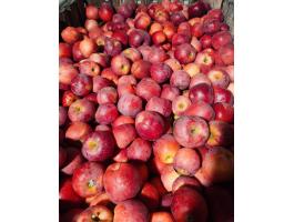 Eladó étkezési Florina Alma