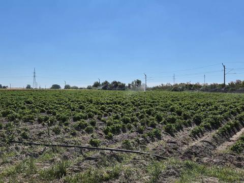 Teljes mikro szórófejes öntözőrendszer eladó Teljes mikro szórófejes öntözőrendszer eladó