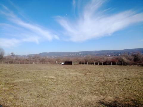 Mezőgazdasági terület eladó