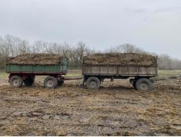 Szervestrágya eladó