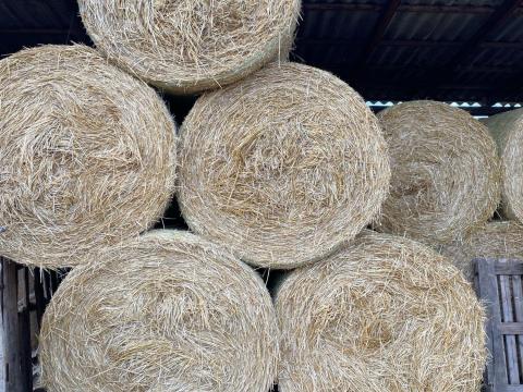 Száraz búza szalma körbála eladó Száraz búza szalma körbála eladó