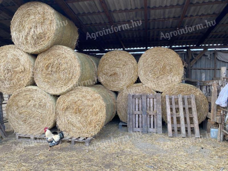 Száraz búzaszalma körbála eladó