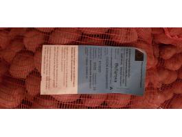 Bellarosa vető méretű burgonya