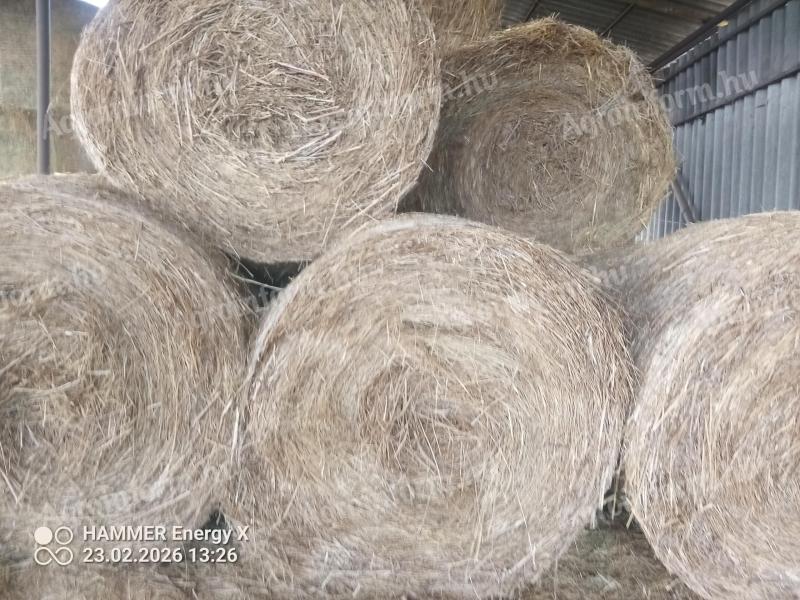 Gazat kórót tartalmazó széna eladó