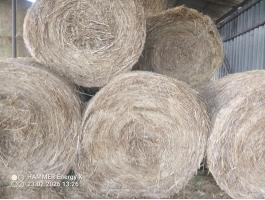 Gazat kórót tartalmazó széna eladó