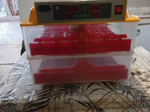 Keltető gép Keltető gép