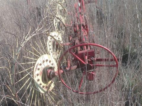 7 csillagos rendsodró eladó 7 csillagos rendsodró eladó