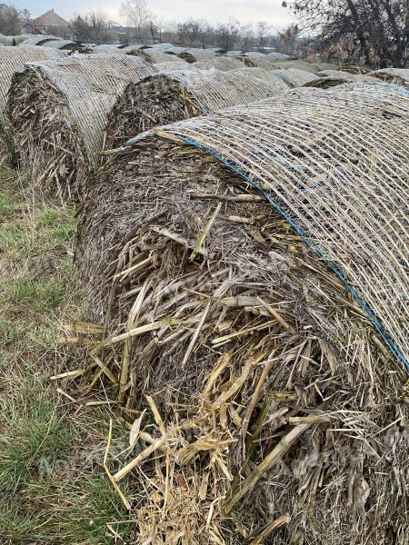 Kukoricaszár, zabszalma, árpaszalma, búzaszalma