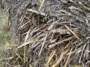 Kukoricaszár, zabszalma, árpaszalma, búzaszalma