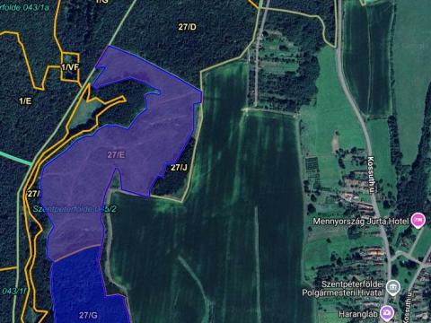 Szentpéterfölde 1/1 tehermentes, részben felújítandó erdő eladó Szentpéterfölde 1/1 tehermentes, részben felújítandó erdő eladó
