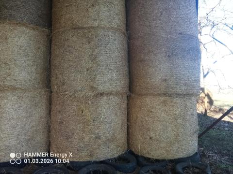 Jó minőségű körbálás búza szalma eladó Jó minőségű körbálás búza szalma eladó