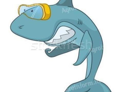 1 nyaras harcsát keresek 1 nyaras harcsát keresek