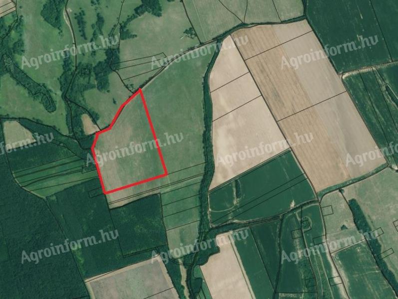 Eladó szántó - Iregszemcse
