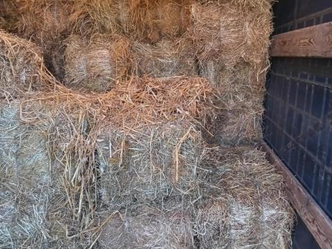 Széna kiskocka eladó