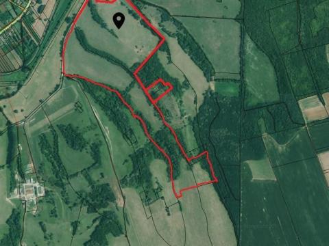 Eladó rét, legelő, erdő Somogy vármegyében Eladó rét, legelő, erdő Somogy vármegyében