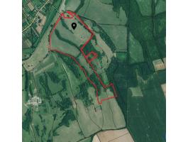 Eladó rét, legelő, erdő Somogy vármegyében