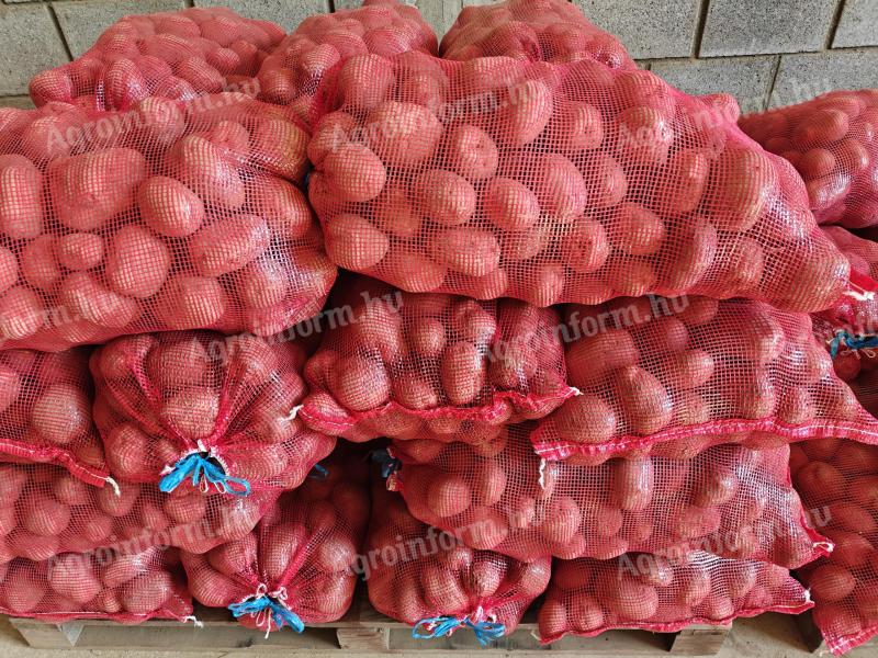 Hűtőházi étkezési burgonya eladó őstermelőtől