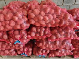 Hűtőházi étkezési burgonya eladó őstermelőtől