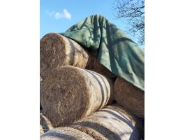 Gyepszéna eladó