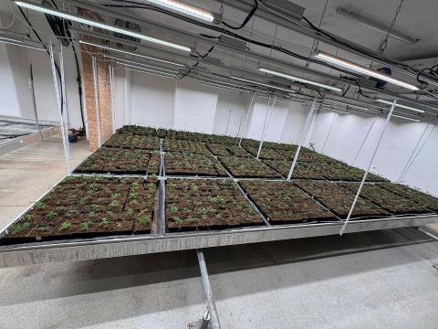 Alumínium tálcák eladók Alumínium tálcák eladók