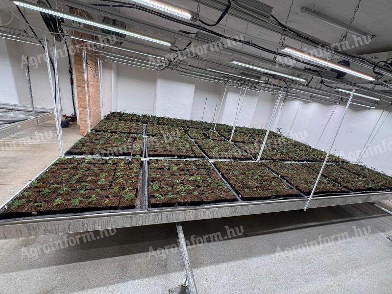 Alumínium tálcák eladók