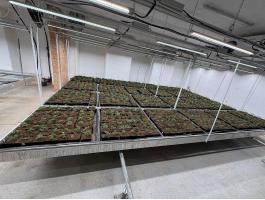 Alumínium tálcák eladók