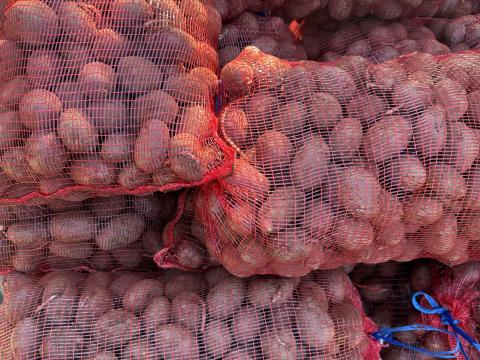 Vetőméretű burgonya eladó Vetőméretű burgonya eladó