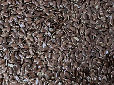 Lenmag - olajlen Lenmag - olajlen