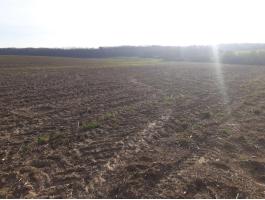 Eladó 9 hektár termőföld