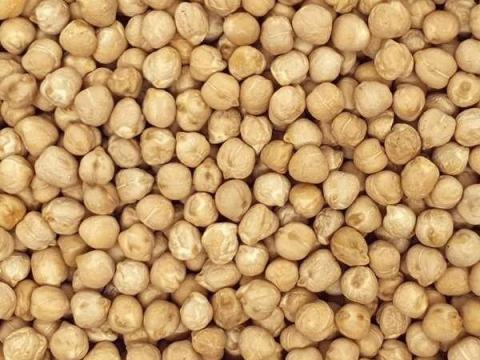 Csicseriborsó nagy mennyiségben, egész évben elérhető