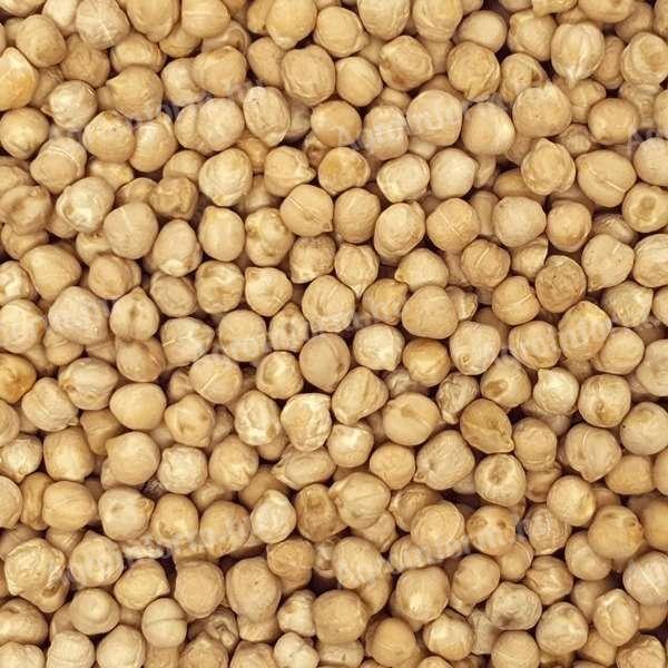 Csicseriborsó nagy mennyiségben, egész évben elérhető