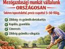 Mezőgazdasági munkát vállalunk