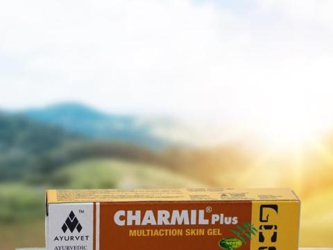 CHARMIL PLUS sebgyógyító, hámosító gyógynövényes gél ROVARRIASZTÓ hatással, 50 g CHARMIL PLUS sebgyógyító, hámosító gyógynövényes gél ROVARRIASZTÓ hatással, 50 g