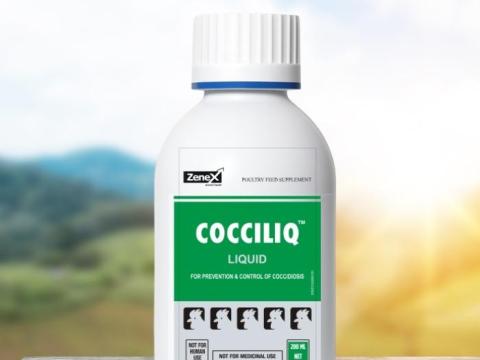 COCCILIQ kokcidiózis elleni gyógynövényes itatófolyadék, 200 ml COCCILIQ kokcidiózis elleni gyógynövényes itatófolyadék, 200 ml