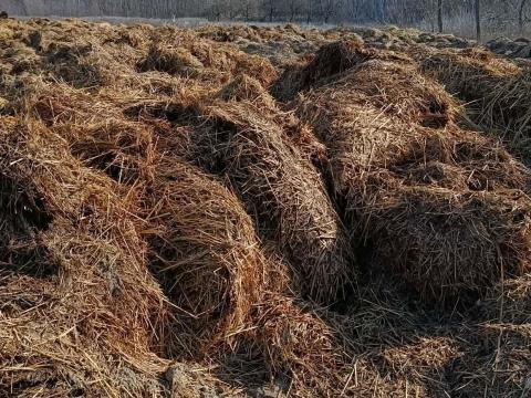 Eladó baromfitrágya