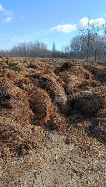 Eladó baromfitrágya