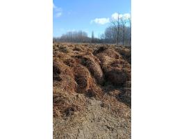 Eladó baromfitrágya