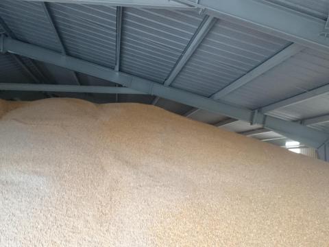 Őszi árpa eladó Őszi árpa eladó