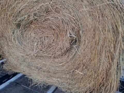 Fűszéna eladó Fűszéna eladó