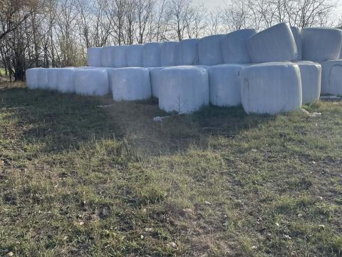 Eladó szenázs csomagolt bála