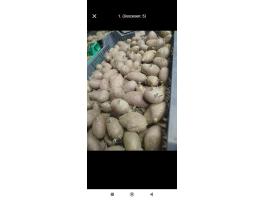 Vető mérető burgonya ESMEE