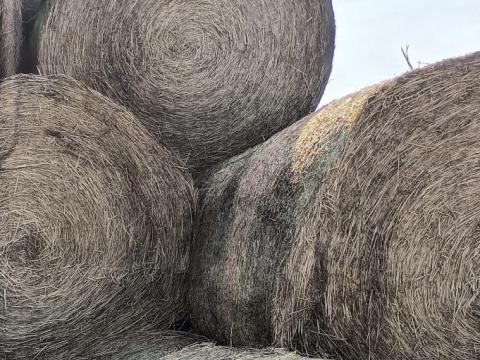 Eladó extra minőségű 150-es lucerna körbálák