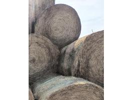 Eladó extra minőségű 150-es lucerna körbálák