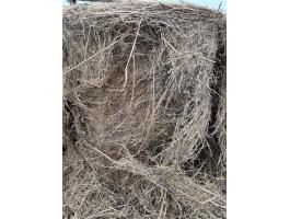 Eladó gyenge minőségű, kórós gyepszéna olcsón